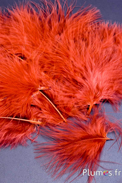 Tacchino marabù-piumino - 4-7 cm -  caramello  